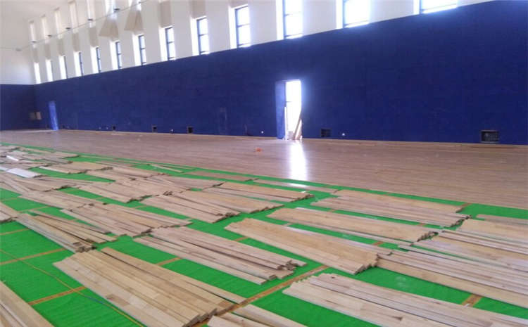 歐氏體育的技術(shù)參數(shù)