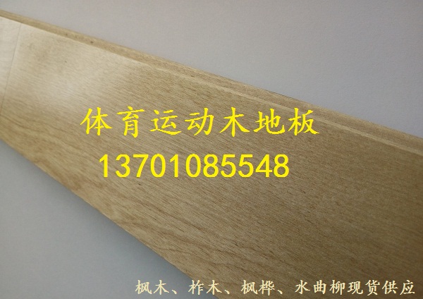楓樺體育木地板.jpg
