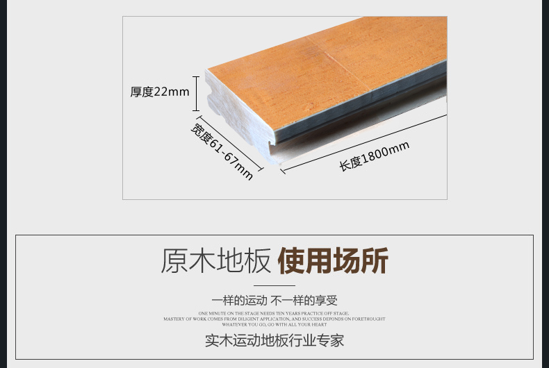 歐氏楓木運動地板 歐氏楓木運動地板