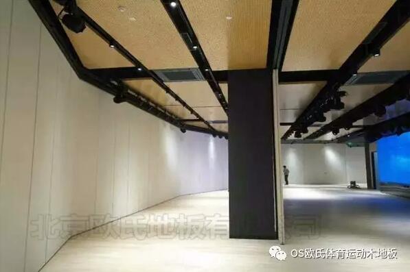 韓國大使館文化院多功能廳體育地板成功案例-圖3