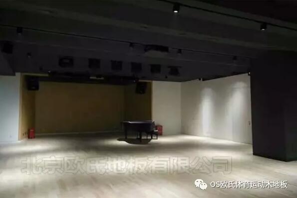 韓國大使館文化院多功能廳體育地板成功案例-圖4
