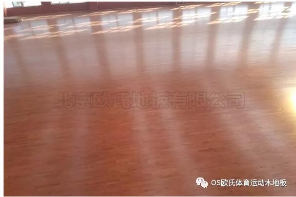 江蘇常州溧陽市南渡鎮(zhèn)體育館運動木地板案例 江蘇常州溧陽市南渡鎮(zhèn)體育館運動木地板案例