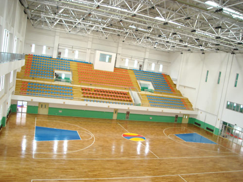 體育館運(yùn)動(dòng)木地板招標(biāo)采購(gòu)案例