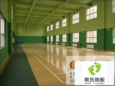 對于體育木地板的初步了解