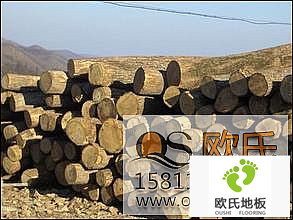 運(yùn)動木地板價格