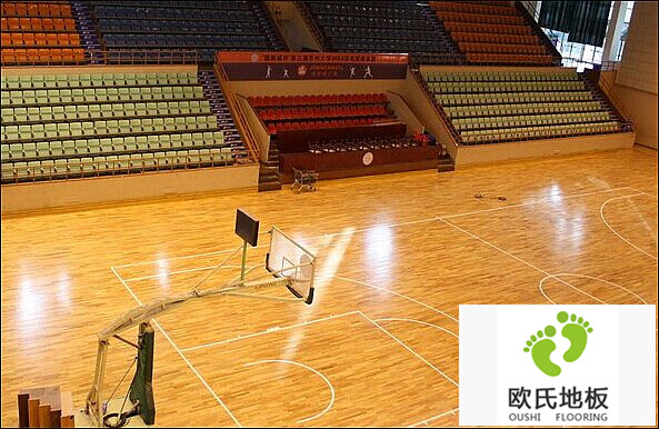 運(yùn)動木地板楓木材料詳細(xì)說明