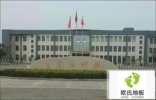 楓木運(yùn)動(dòng)木地板施工案例-安徽銅陵有色金冠銅業(yè)文體活動(dòng)中心