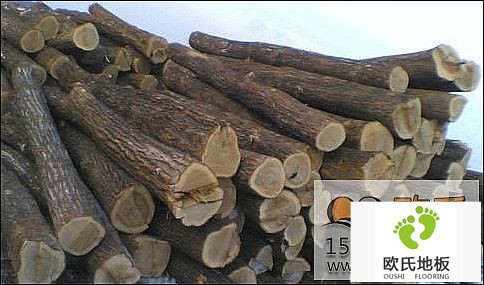 如何選擇籃球木地板