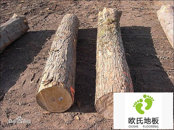 如何選擇體育實(shí)木地板廠家