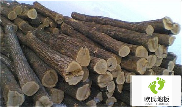 運動木地板踩上去為什么會空響