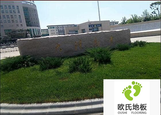 遼寧盤錦大洼高級中學(xué)籃球館體育木地板