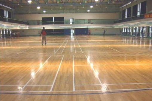 運(yùn)動木地板