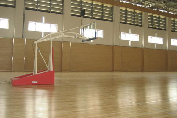 運(yùn)動(dòng)木地板