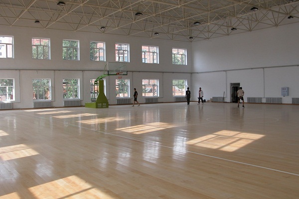 楓木運動地板圖片