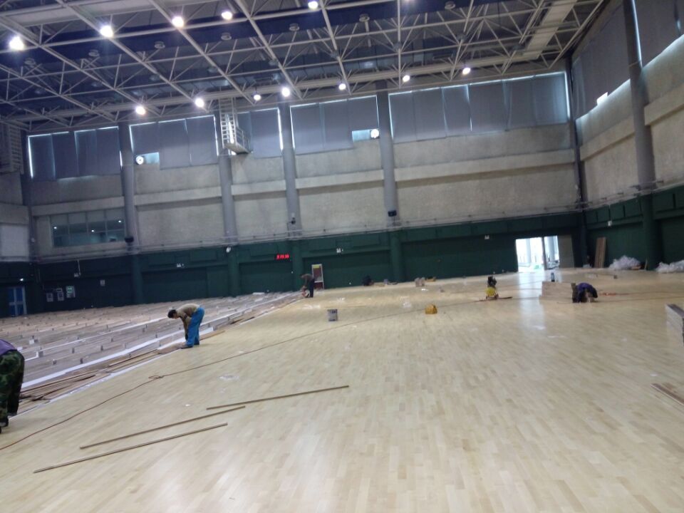 體育木地板 楓木運動地板